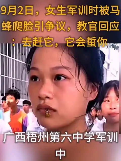 择医网平台