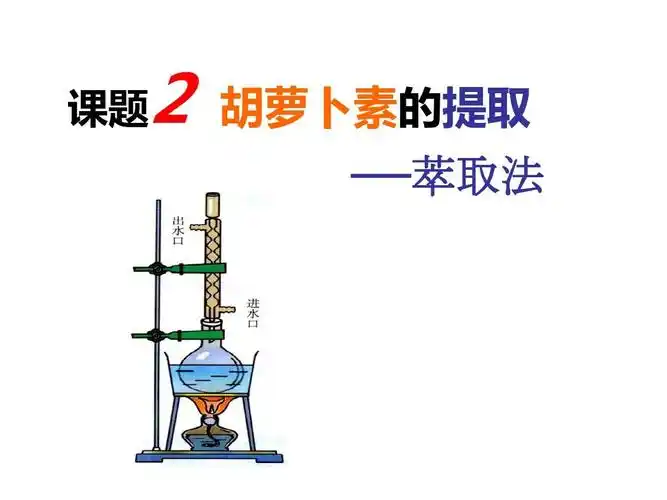 课题   胡萝卜素的提取 ——萃取法