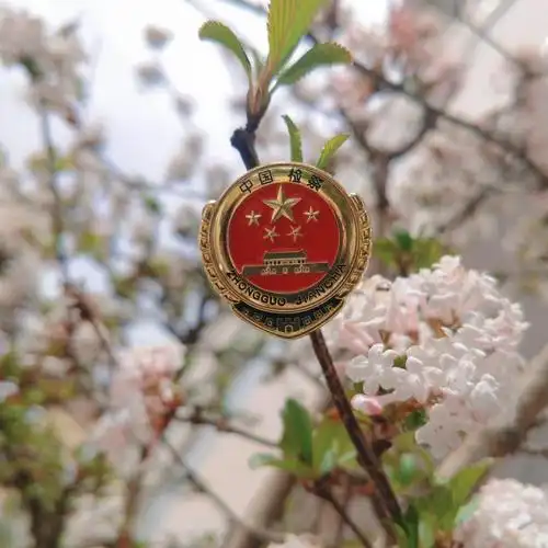 文化育检新花隐隐萌苞内映日检徽别样红岷检春日限定壁纸