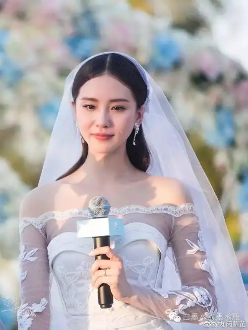 刘诗诗粉丝这是一姐结婚时的婚纱照吗天啊太美了吧