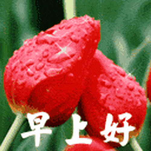 微信早上好动态图片带鲜花,早上好动态表情图片大全