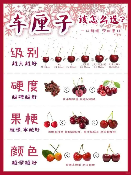 车厘子和樱桃有什么区别?