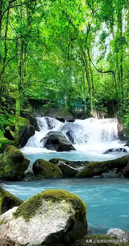 精选唯美养眼大自然风光图片壁纸,壁纸图片 风景 绿色 养眼(大自然美