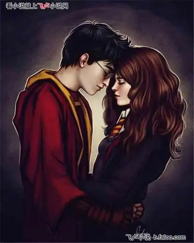 哈利波特之一个哈利波特:第七章:坚不可摧之誓约的真正含义图文