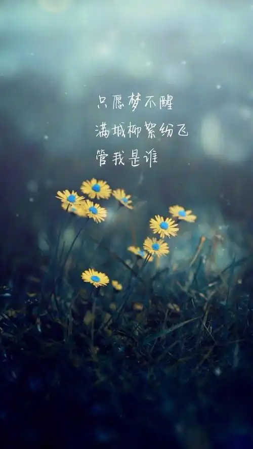 一下子心情不好的心痛说说,悲伤落寞,说的是不是你?