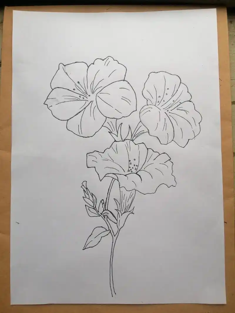 本人初次尝试白描花卉,晒晒近日的习作.继续努力! - 抖音