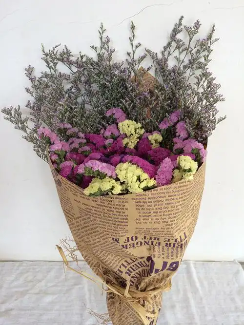 云南勿忘我鲜花干花真花情人草包装花束毕业照拍照道具送人礼物