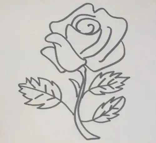 蔷薇花简笔画 蔷薇花简笔画又好看又简单