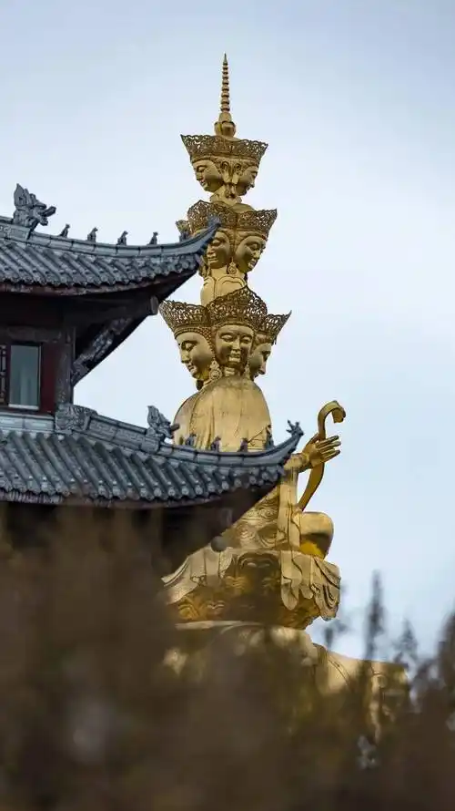 峨眉山八大彩林惊艳上线,错过又要等一年!_红叶_人间_七彩