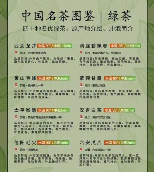 茶知识中国名茶图鉴一绿茶