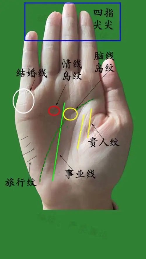 贵人多的手相!# 知识创作人