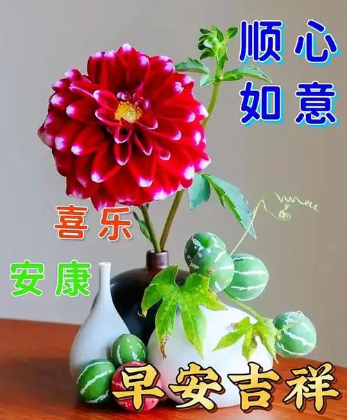 早上好表情包新的一天愿我们都平安健康幸福长寿
