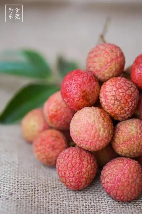 2018第一颗荔枝!