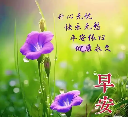 今日最新版早上好表情图片大全,相互牵挂情意浓,开心祝福乐融融