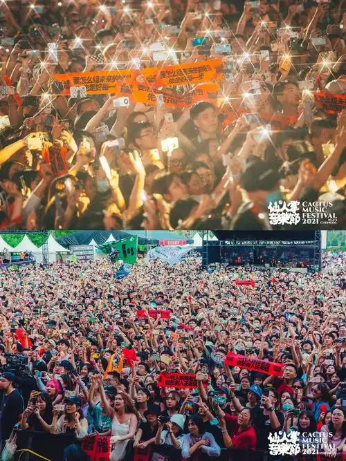 仙人掌音乐节也就
