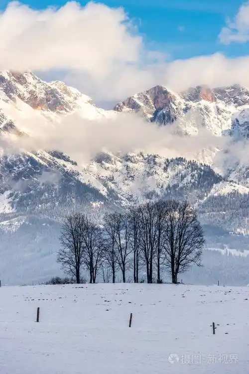 雪山草地和树木奥地利风景全景