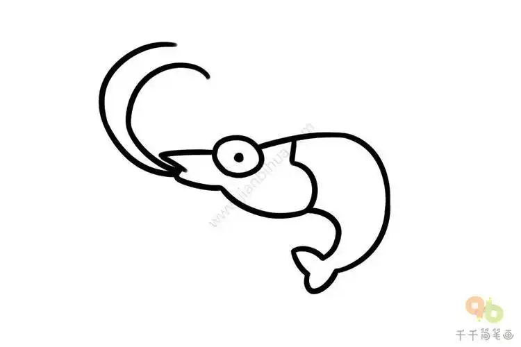 虾的简笔画黑白 简笔画图片大全-蒲城教育文学网