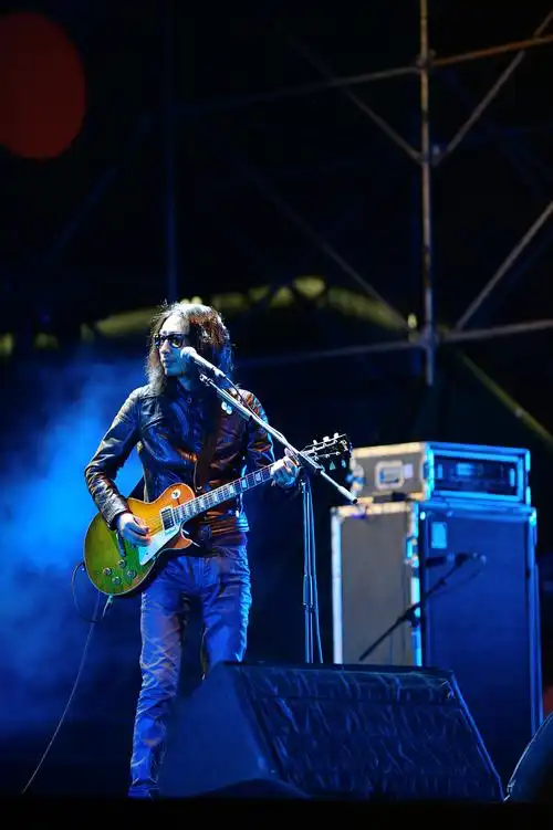 谢天笑 2017草莓音乐节 现场 舞台 摇滚君