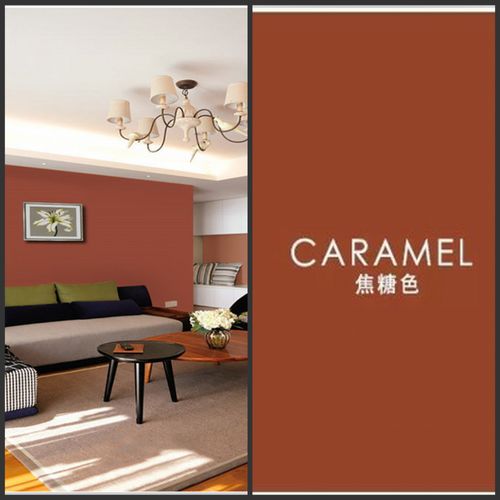 咖啡色外墙乳胶漆涂料哑光水性棕色砖红色褐色水晒不掉色面漆浅咖啡05