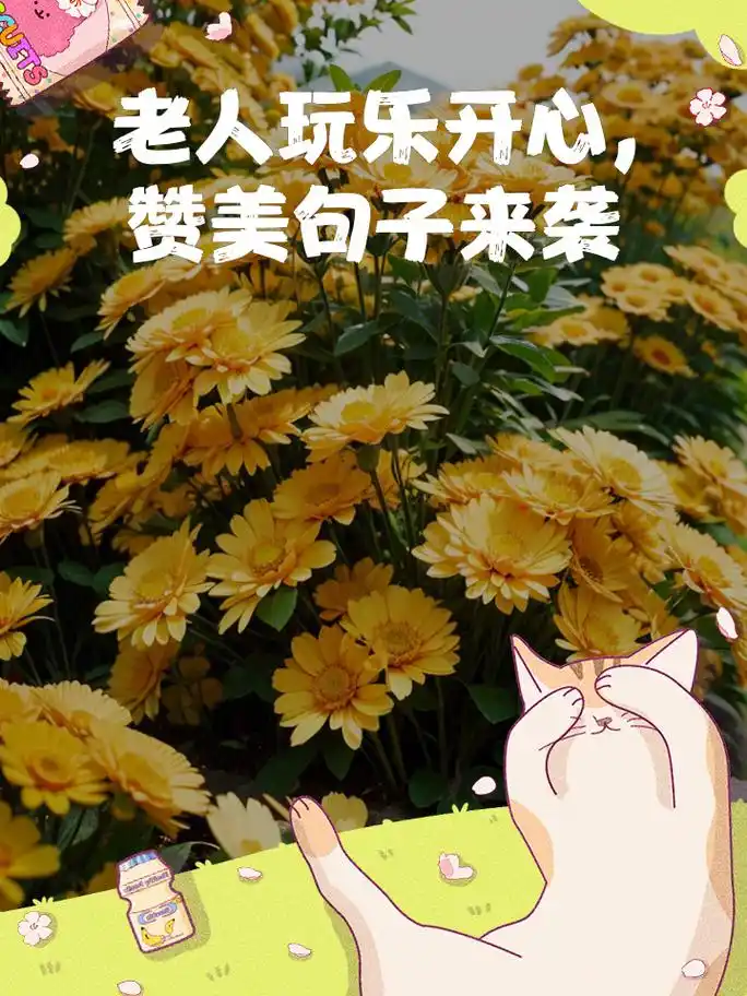 老人玩乐开心,赞美句子来袭 老来乐无处不在,晨练直播真精彩 科技再新