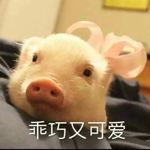 它真的治好了我的容貌焦虑和年龄焦虑