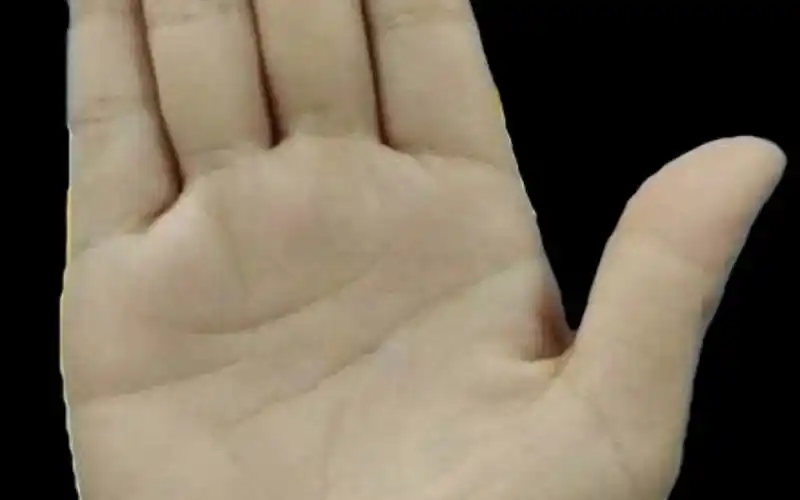 感情线断开呈上下两条,感情生活多坎坷