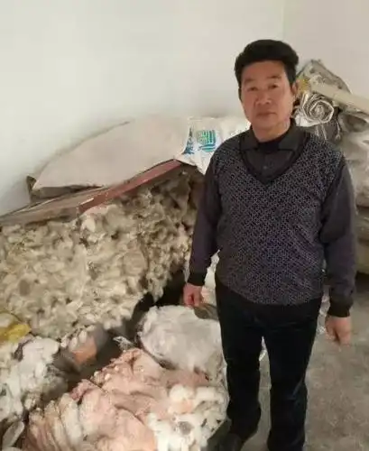 最新经纪人信息整理发布