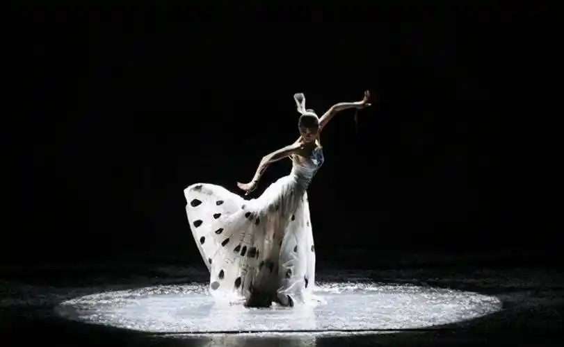 62岁的杨丽萍常年戴帽子,本以为是特殊造型,摘下后却令人感慨_舞蹈