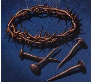 网上的刺鞭图,看起来很夸张不少网友说,刺鞭应当是枣树枝做的,枝上长