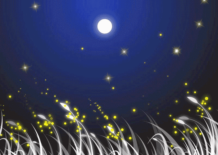 月亮gif星星gif闪动gif夜晚gif