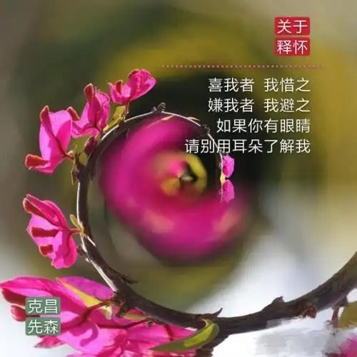 释怀的图片([美图美文]*关于释怀)