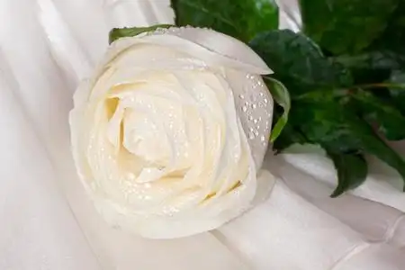 白玫瑰水滴新娘与伴娘, 鲜花和气球的女孩婚礼一天邀请与美丽的未婚妻