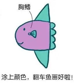 翻车鱼简笔画