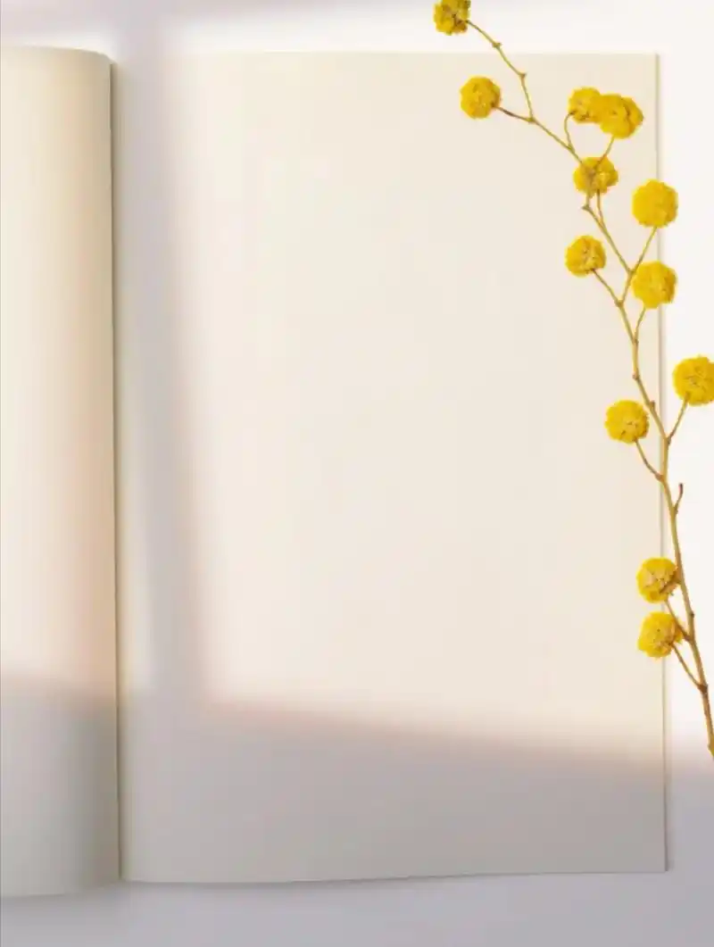 空白翻页书单模板.#素材分享 #翻页书单模板 #空白书单模板 - 抖音