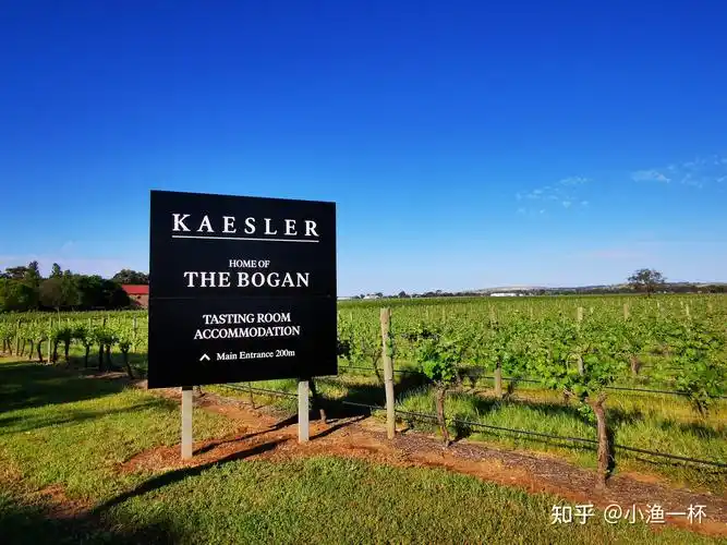 亘古酒庄(domaine a)位于澳大利亚南端风光秀丽的塔斯马尼亚(tasmania