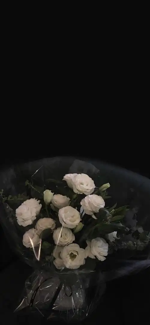 1242_2688竖版 竖屏