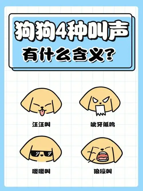 98狗狗46615种叫声,有什么含义71