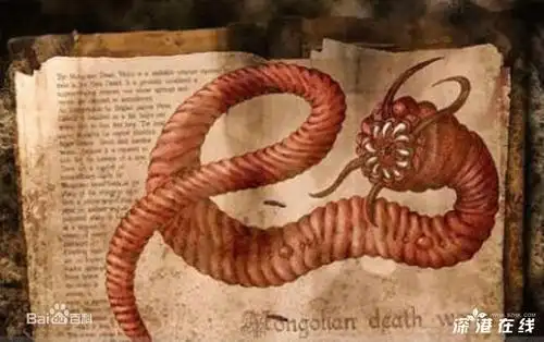 蒙古死亡蠕虫真实图片:蒙古死亡蠕虫简介和照片(组图)