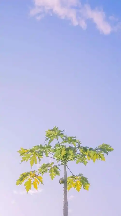 绿色背景图 养眼 微信 绿色背景图片 微信 养眼 - 网络编辑之家