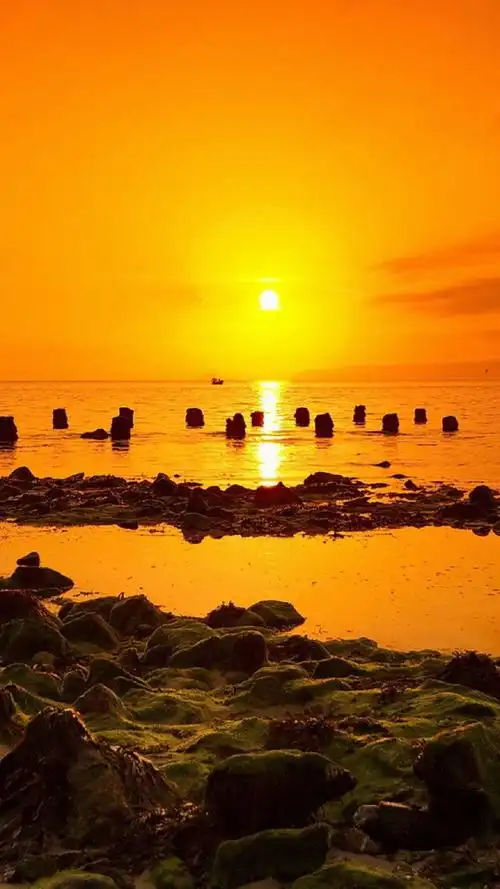 精选唯美自然风景手机壁纸