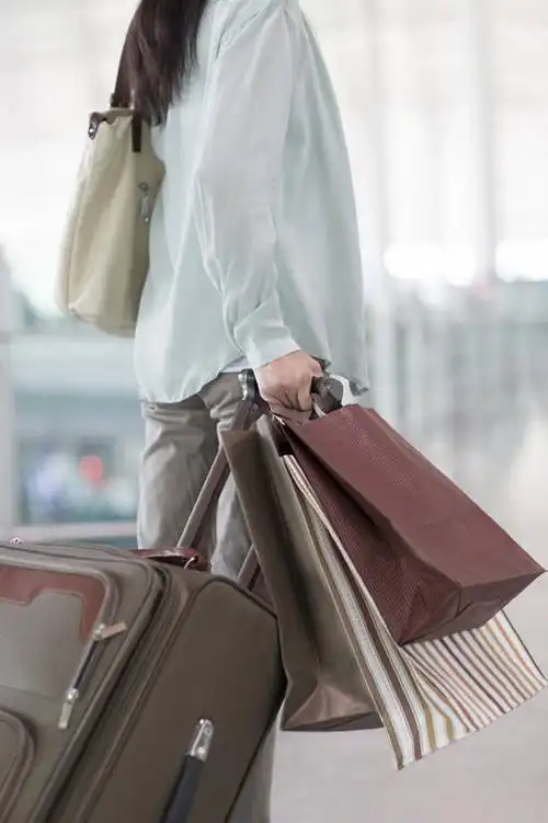 老年人,一个人,机场,拉,竖图,白天,购物,消费,城市,建筑,车站,手提箱