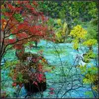 中年精致女人头像风景_微信头像图片大全