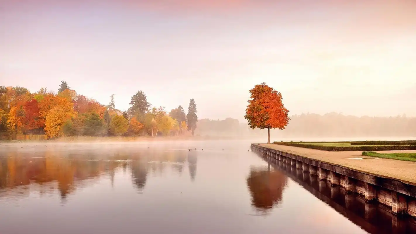 感伤秋季唯美落叶高清电脑桌面主题壁纸图片下载(1)