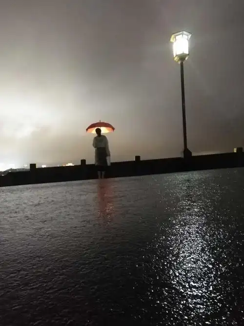 雨中夜西湖