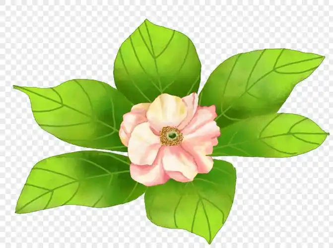 qq好友 微信朋友圈 qq空间 新浪微博  花瓣 举报 标签: 卡通叶子卡通