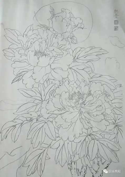 牡丹简笔画大全 牡丹简笔画大全简单