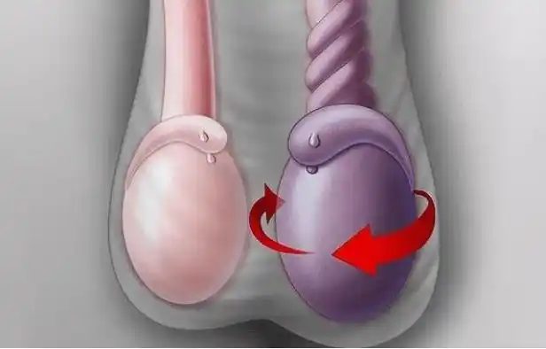 男同胞们,是时候给您的阴囊降降温了!_睾丸_温度_功能