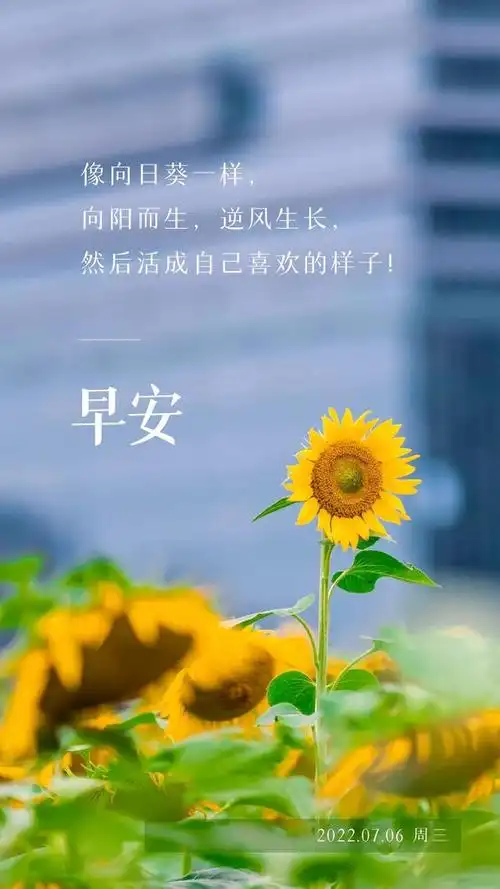 7.6早安心语正能量励志图片:若你决定灿烂,山无遮,海无拦