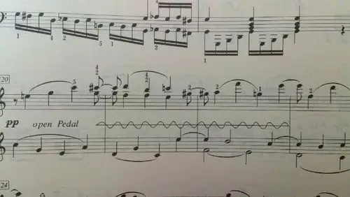 钢琴谱中的波浪线是什么意思?如图