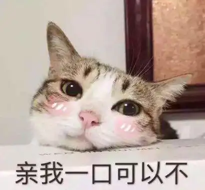 最近很火的表情包可爱猫咪系列
